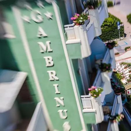 Gambrinus ホテル 4*